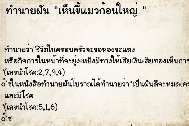 ทำนายฝันทำนายฝันเห็นขี้แมวก้อนใหญ่
